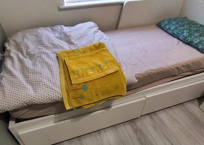 Cozy House